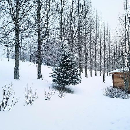 Laekjarbakki 11 Apartman Varmahlid  Kültér fotó